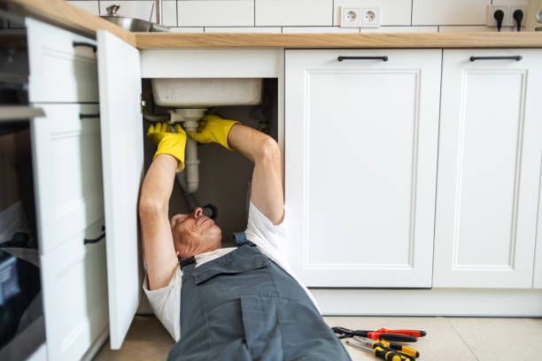 Best Local Plumber Services  in Dresden, TN